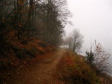 About the fall season and the fog / ***