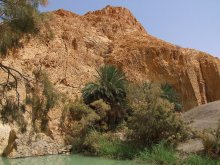 Water ... in the oasis ... / ***
