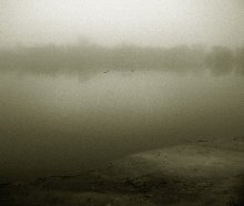 Ducks in the Fog / *****