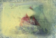 Untitled / ***