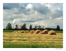 Industrial-pastoral landscape / ***