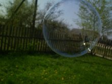 bubble / ***