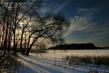 About the crooked tree in Minsk Sea / ***