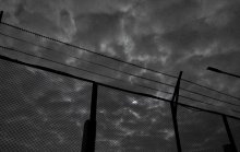 The Free Will / -------