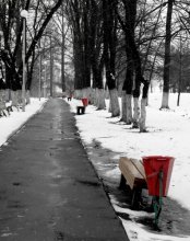alley park model culture / *****