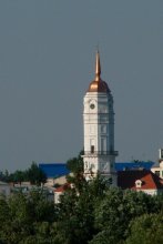 Town hall / *****