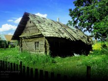 old house / ***