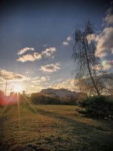 evening light / ***