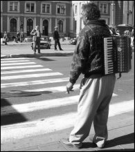 Little man with an accordion / ***