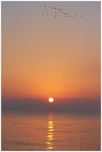 Dawn over the White Sea / ***