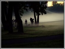 Fog / ***