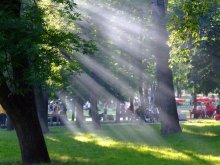 Rays of the sun ... / ***
