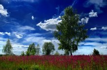 Belarus / ***