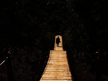 Life around / ***