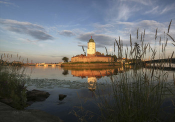 Vyborg Castle. / ***