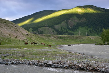 Gorny Altai. / ***