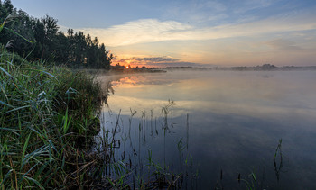 Morning on the lake / ***