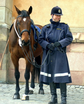 mounted police / ***