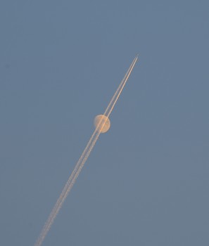 Moon Airlines. / ***