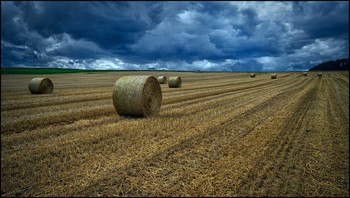 Regenwetter / Nach der Ernte