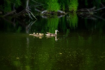 &nbsp; / https://www.youtube.com/watch?v=OkuvoKyn8Tc