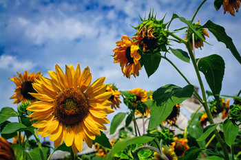 On the outskirts / ***