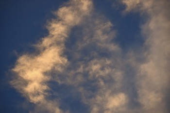 Archangel Michael / Here is a male cloud being, watching the earth in anticipation of something important. He has a face of a might warrior illuminated in light. He is surrounded by other angels and a lion above his head. The lion is a symbol of royalty.