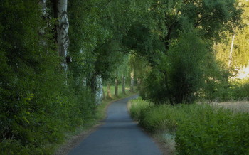 summer evening .. / ***