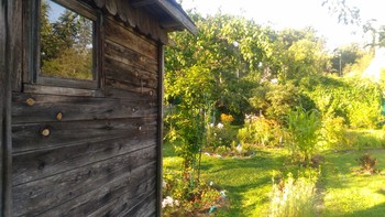 Kirillov / ***