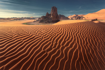 Sahara Desert * / ***