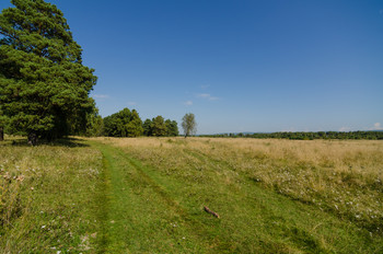 Native open spaces / ***