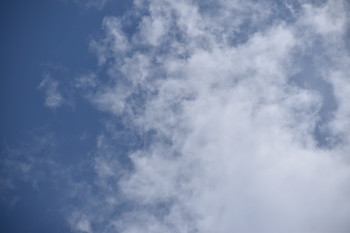 Angels and Demons ll / The face of An Evil Entity