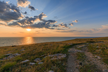 Road to the sea / ***