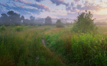 Fog dissipates / ***