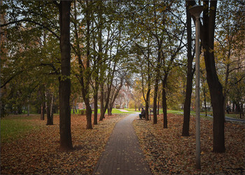 In the fall the park ... / ***