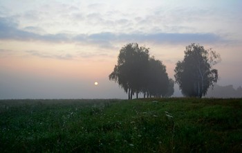 Morning landscape / ***