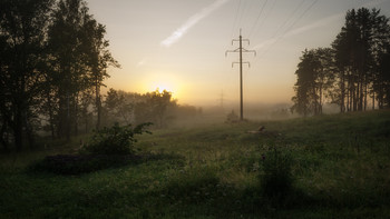July morning / ...