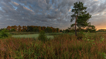 At dawn / ***