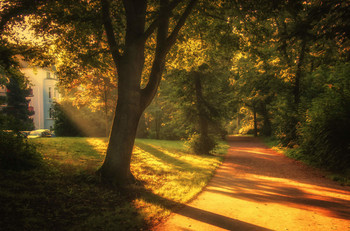 One morning / ***