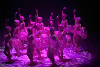 Pink Flamingos / ROYAL CIRCUS. A World-Class SHOW