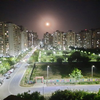 Moon Pie! / The glow in the dark!