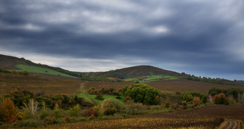 Autumn / ***