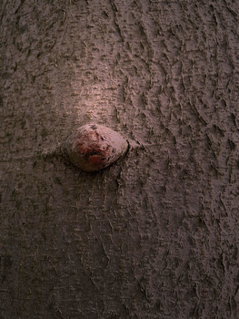 Dropface / from outer space