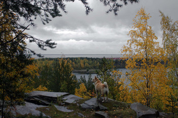 On the lake / ***