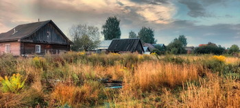 Rural landscape / ***