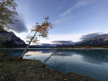 A quiet evening / ***