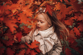 Autumn leaf / ***