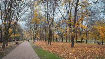 In the fall the park ... / ***