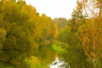 Autumn Watercolor / ***