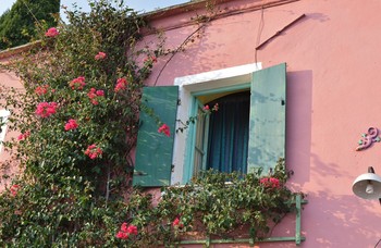 old window / old window of a pink house with bougainvillea